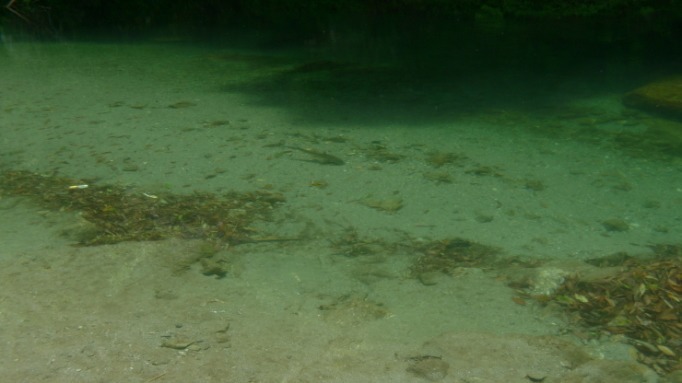 c0212083_19540272.jpg