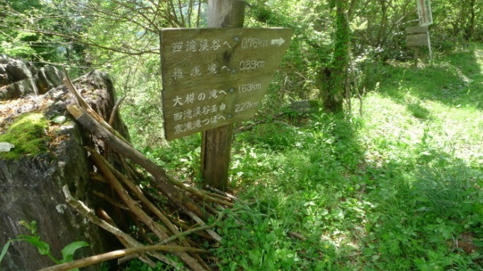 c0212083_20090627.jpg