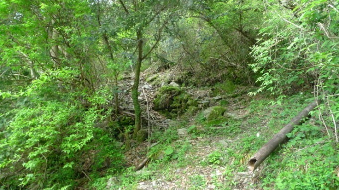 c0212083_20093060.jpg