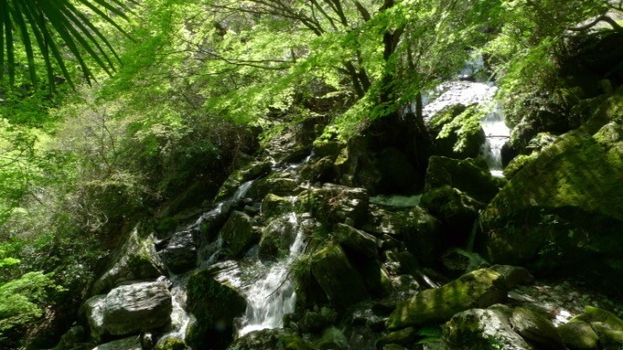 c0212083_20101621.jpg