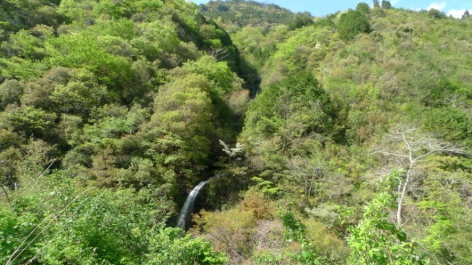 c0212083_20111260.jpg
