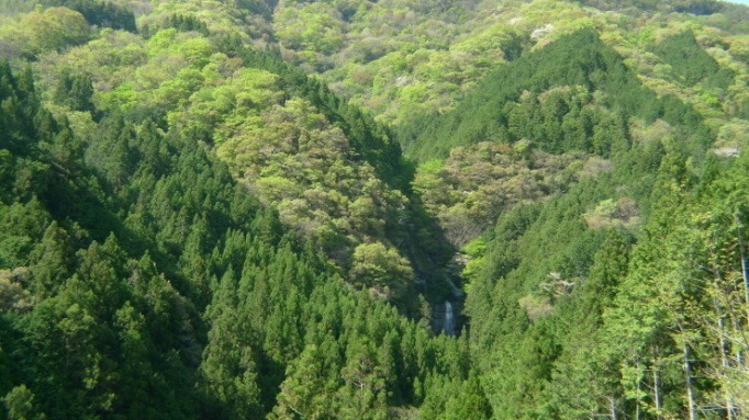 c0212083_20114233.jpg