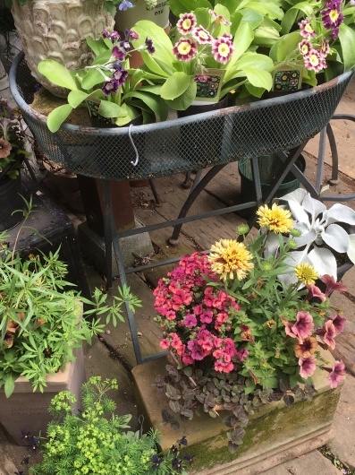 b0336787_23314681.jpeg