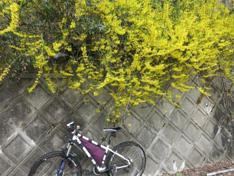 花盛り。_e0149587_04355035.jpg