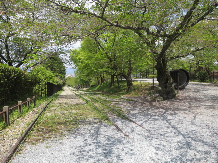 b0339488_20292902.jpg