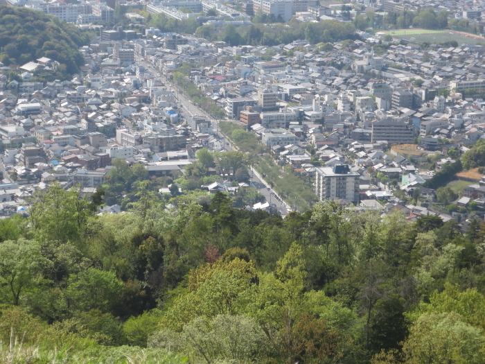 b0339488_20363530.jpg