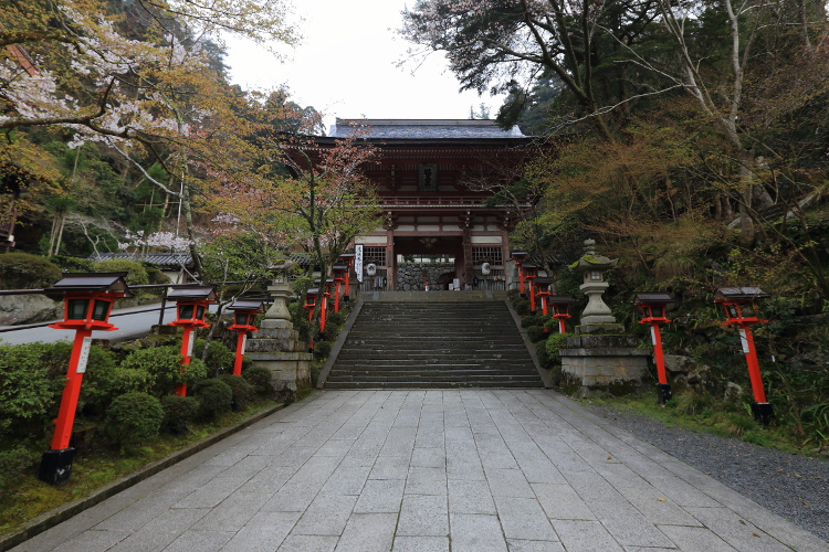 鞍馬寺_e0051888_1059096.jpg