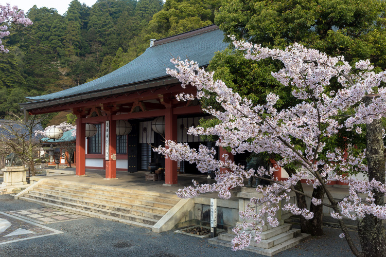 鞍馬寺_e0051888_10595332.jpg