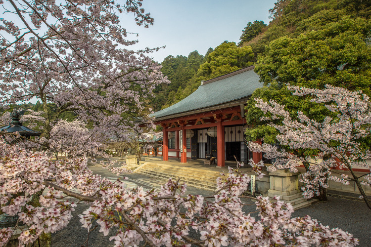 鞍馬寺_e0051888_11017100.jpg