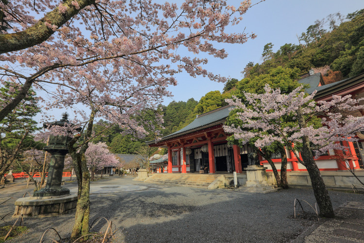 鞍馬寺_e0051888_1103079.jpg
