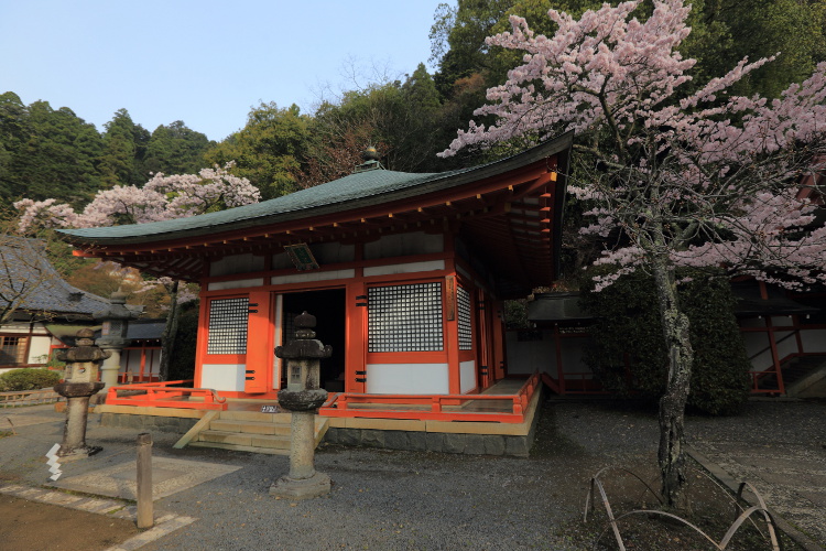 鞍馬寺_e0051888_110664.jpg