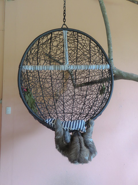 f0346196_05355014.jpg