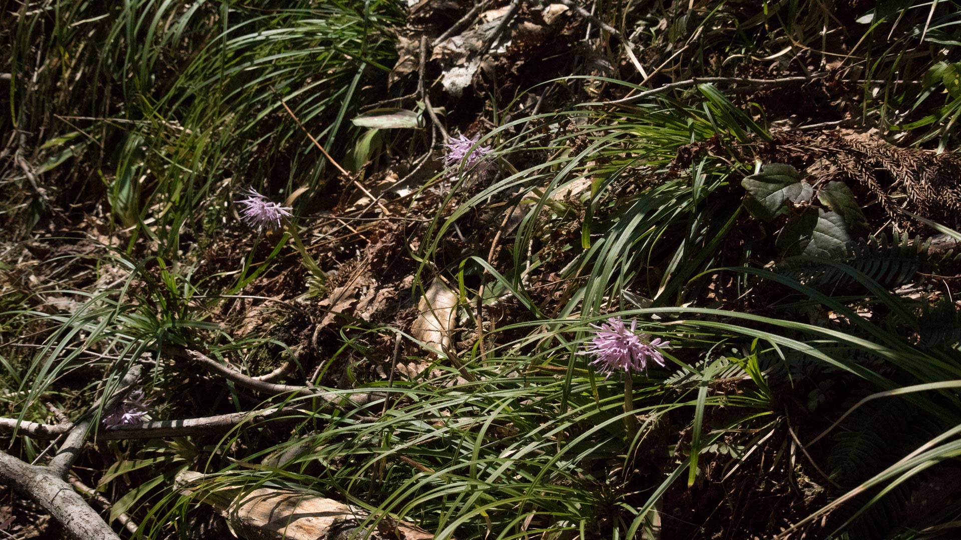 e0257101_1946193.jpg