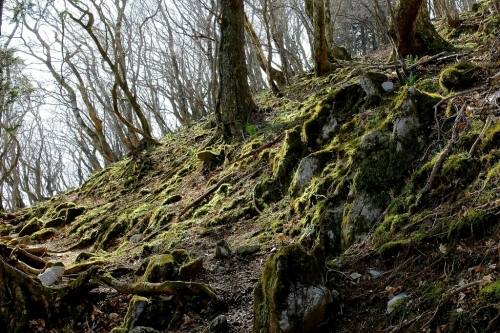 e0304001_17504526.jpg