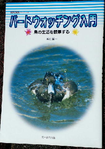 野鳥メモランダム