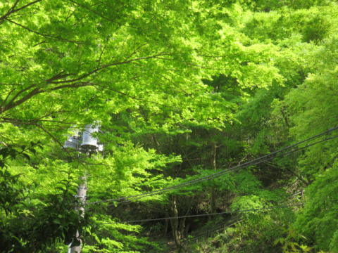 d0046702_1110367.jpg