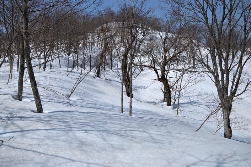 上古丹別山　　2016.4.16_f0200402_17101829.jpg