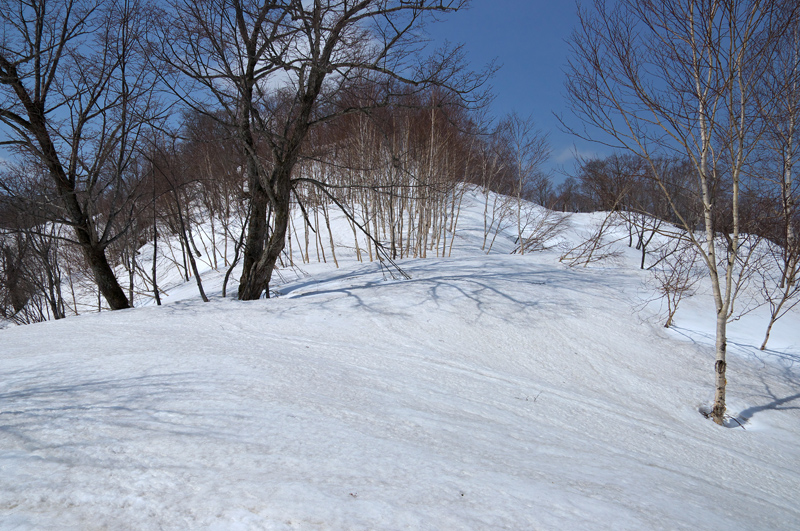 上古丹別山　　2016.4.16_f0200402_17105311.jpg