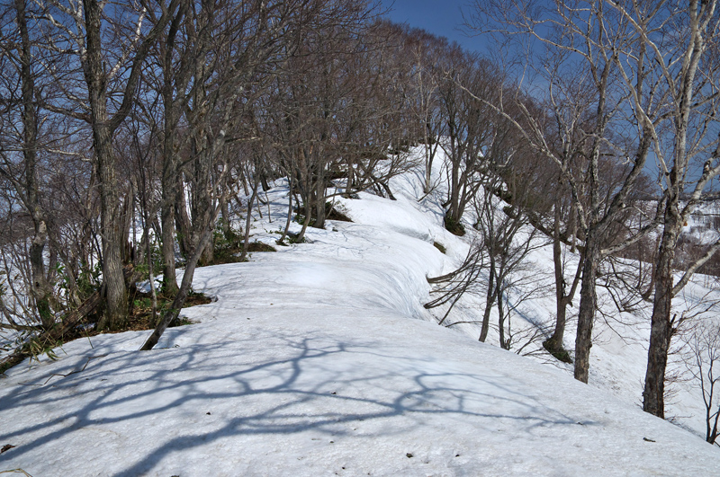 上古丹別山　　2016.4.16_f0200402_17245787.jpg