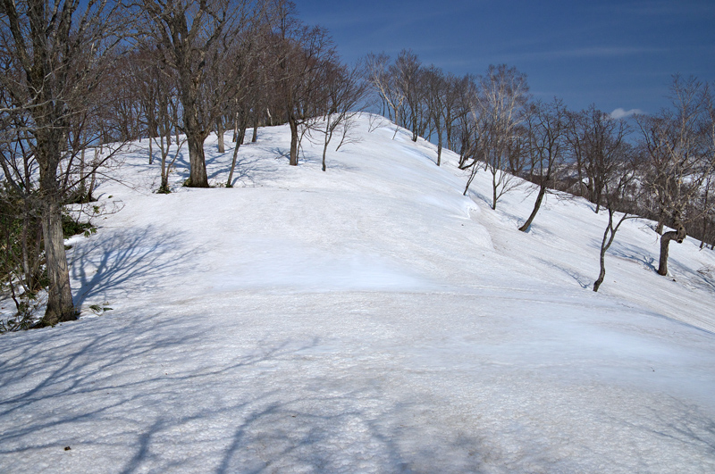 上古丹別山　　2016.4.16_f0200402_17361795.jpg