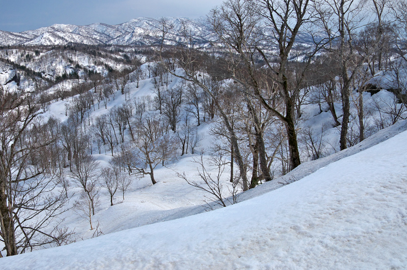 上古丹別山　　2016.4.16_f0200402_1743639.jpg