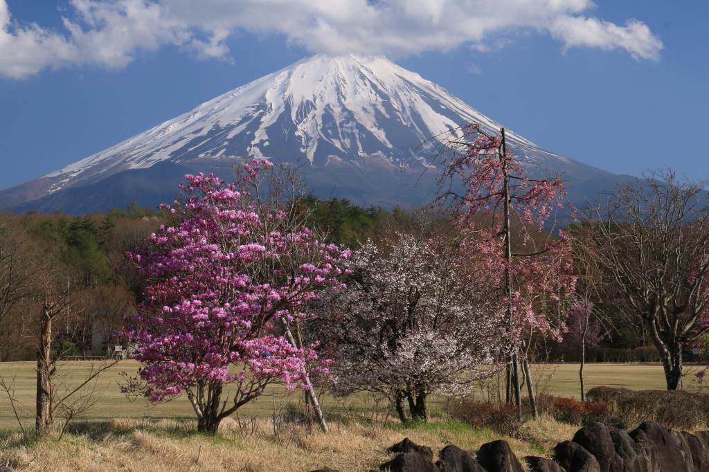 道の駅鳴沢～富士山_a0188405_18411818.jpg