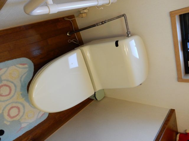 トイレの交換（その１）_a0148206_21115314.jpg