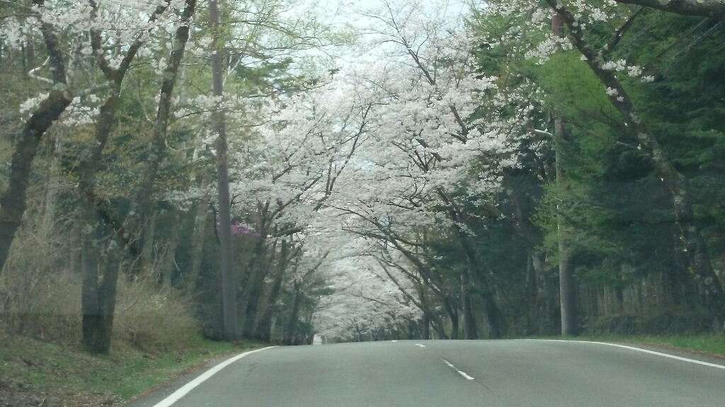 もうすぐ最高のとき_c0301809_01032714.jpg