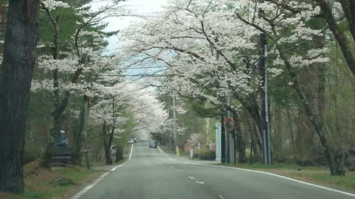 もうすぐ最高のとき_c0301809_01033272.jpg