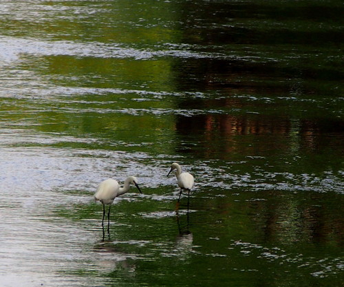 d0048812_11351676.jpg
