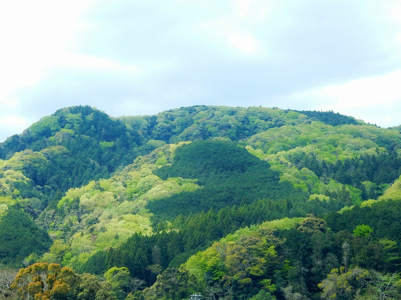 f0182513_2357786.jpg