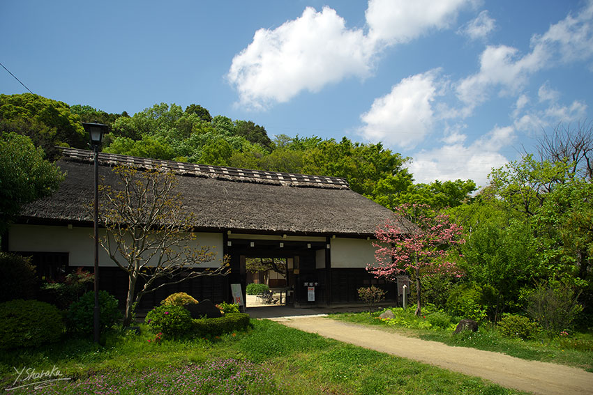 f0344614_12153427.jpg