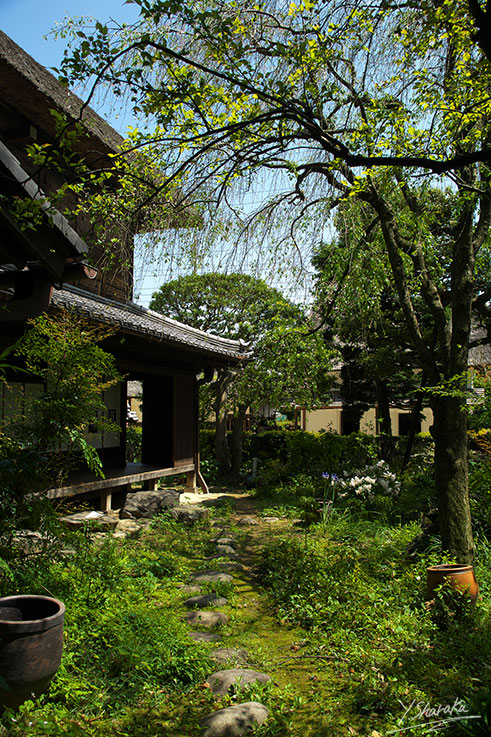 f0344614_122024.jpg