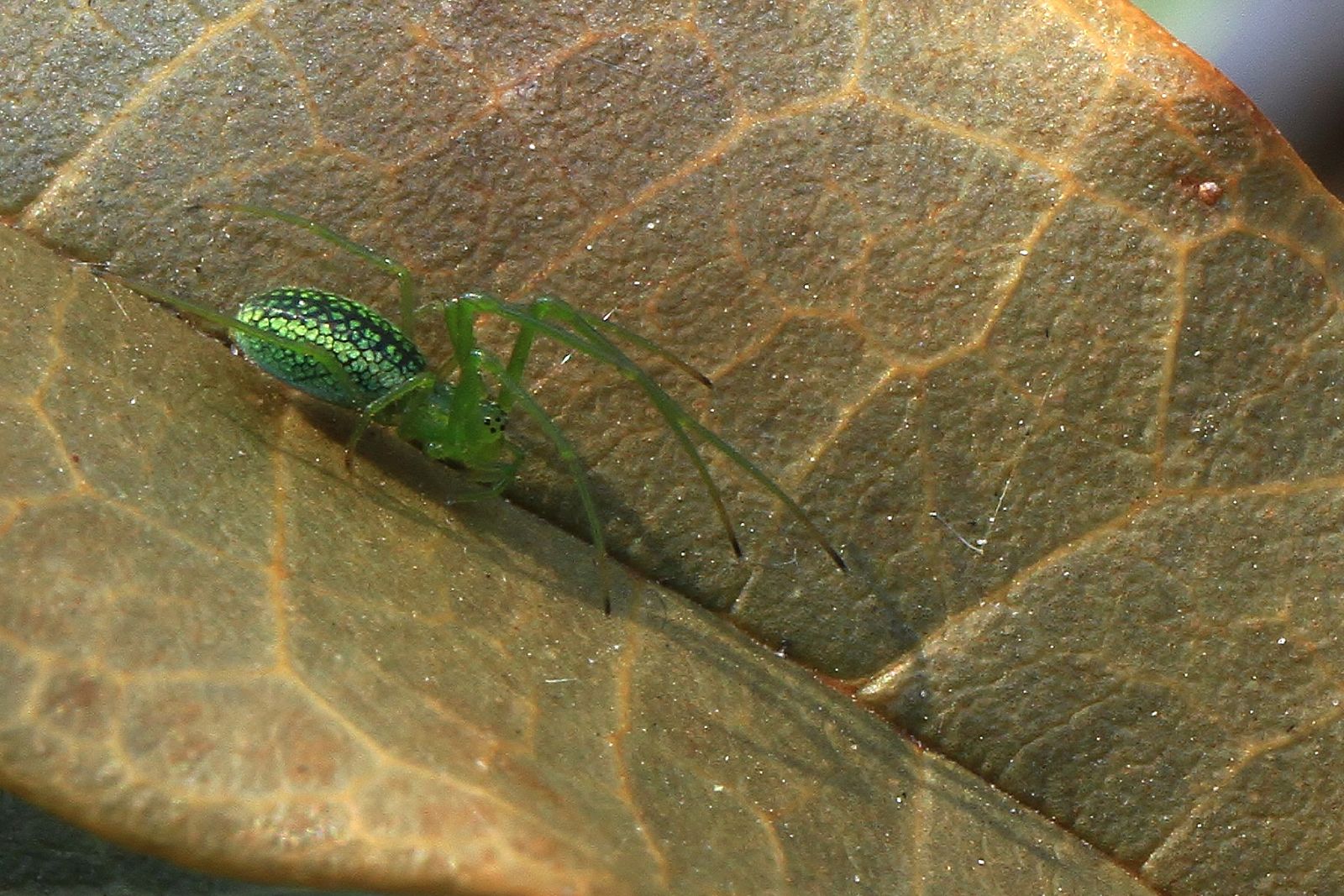 c0367515_947318.jpg