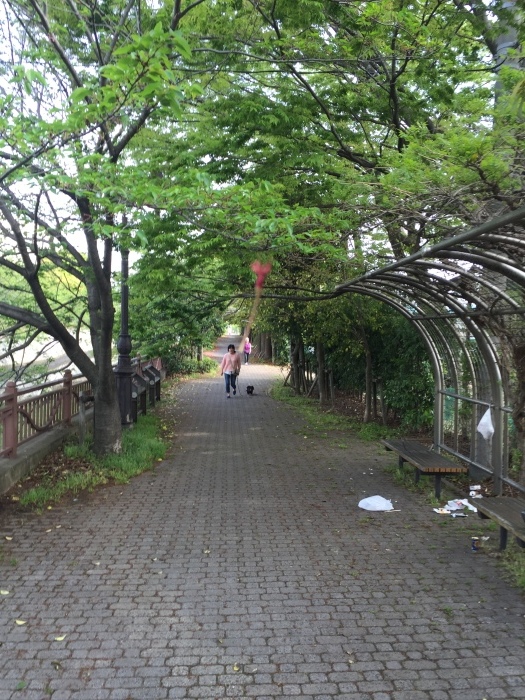 a0251116_22311821.jpeg