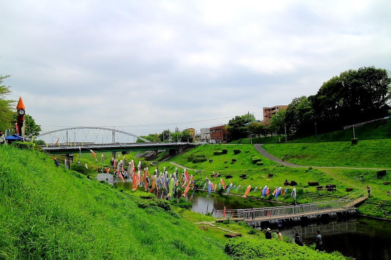 関宿橋西詰通行止め、利根川通行止め_e0341417_14351195.jpg