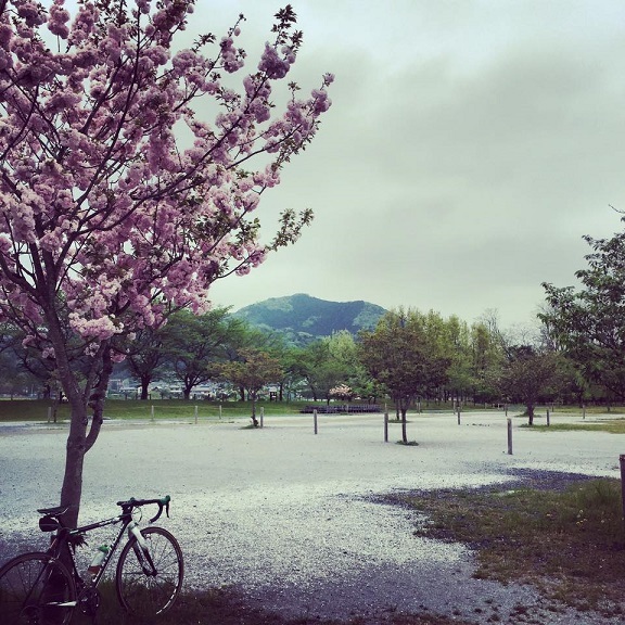 雨が降る前に。_b0194923_10221167.jpg