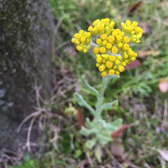 f0229926_172419.jpg