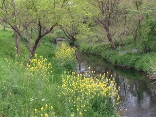 c0051529_16453357.jpg