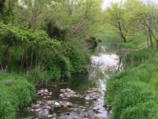 c0051529_1646116.jpg