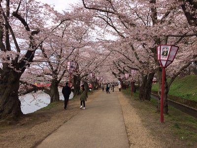 国民保養温泉地　酸ヶ湯温泉旅館_a0124132_2223039.jpg