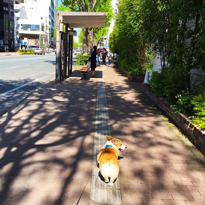 であいふれあい ジロさんぽ 3_f0035333_1605844.jpg