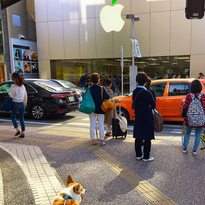 であいふれあい ジロさんぽ 3_f0035333_16131937.jpg