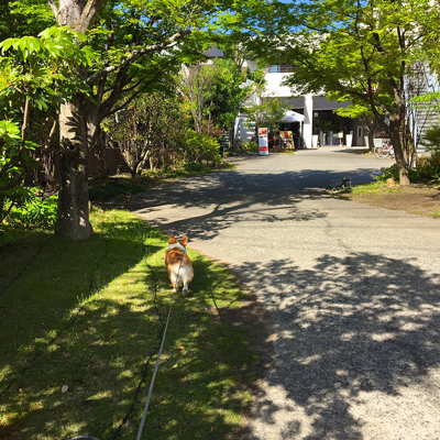 であいふれあい ジロさんぽ 3_f0035333_1630480.jpg