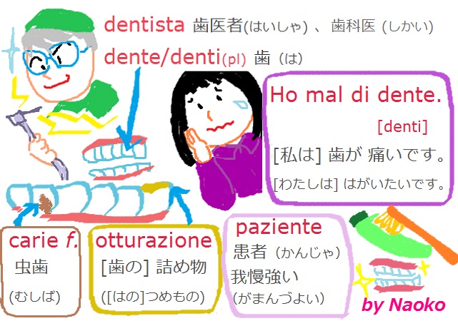 歯欠けて歯医者へ_f0234936_4402359.jpg