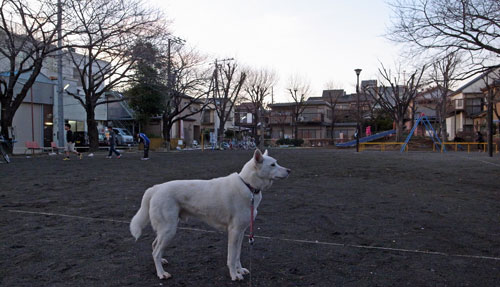 a0117039_32224.jpg