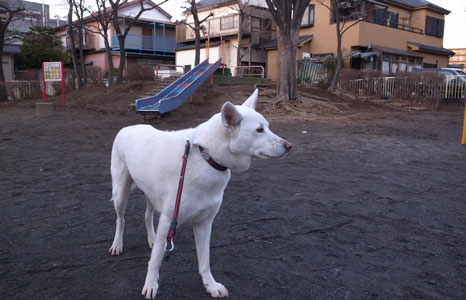 a0117039_32337.jpg