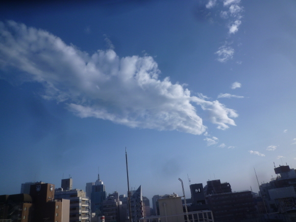 鳩のマークの会社_b0217741_16273904.jpg