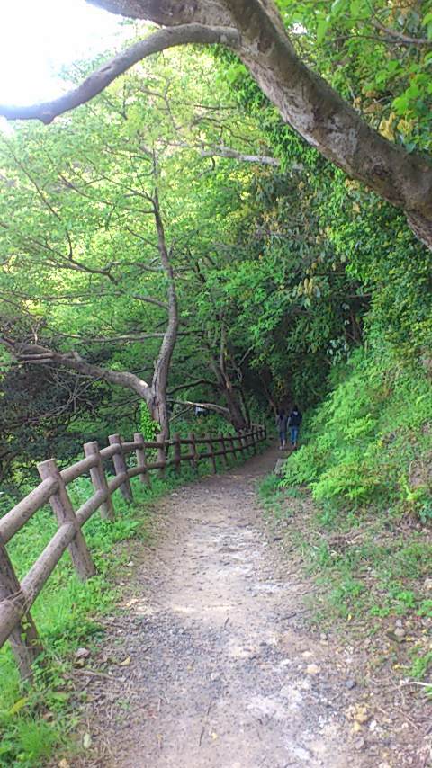 a0335043_16114267.jpg