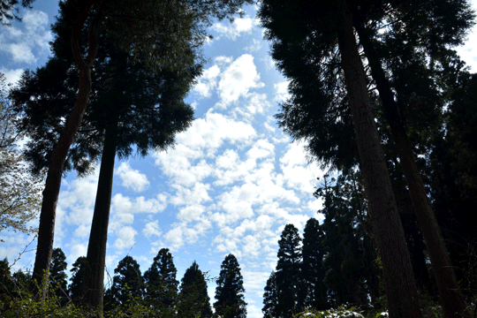 c0093046_9232359.gif